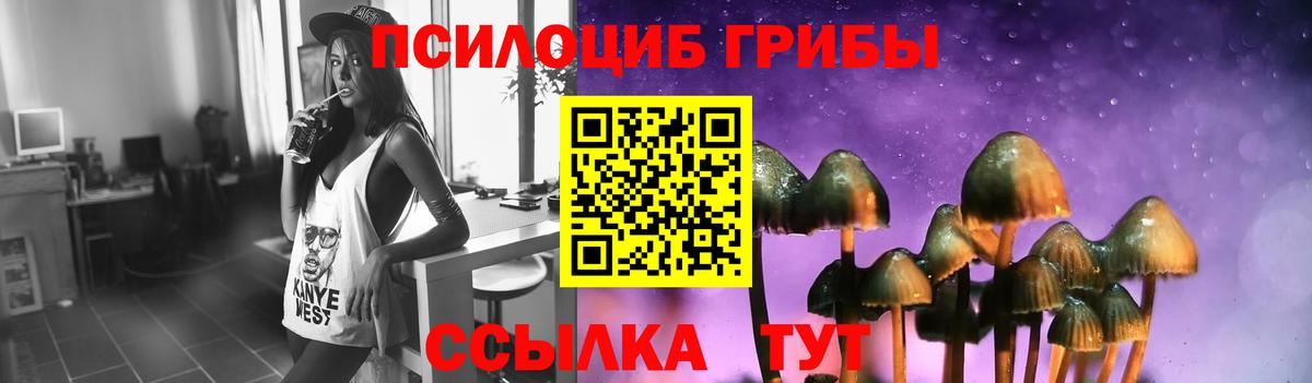 Галлюциногенные грибы прущие грибы Березники