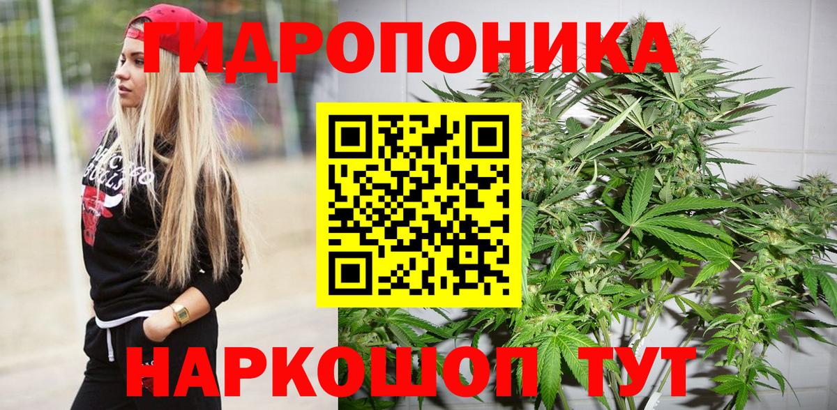 Бошки марихуана гибрид  Конопля ГИДРОПОН  Канабис планчик  Березники  Вход с VPN 